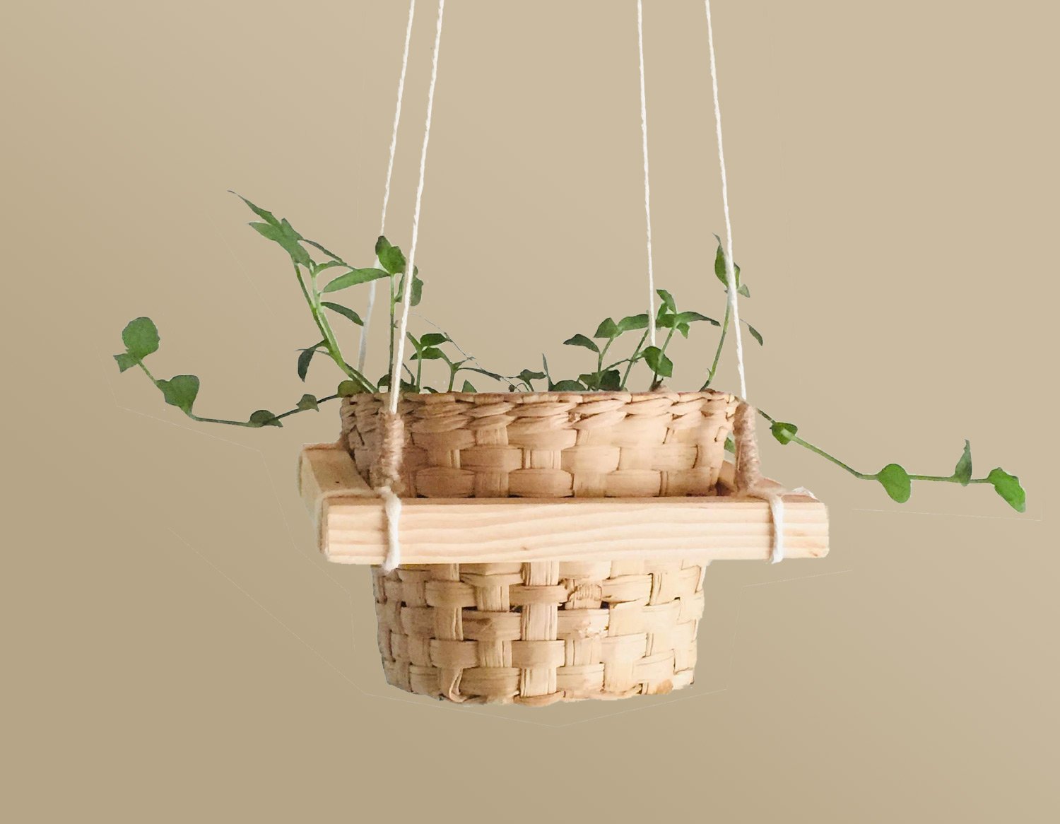 Colgante de macramé y madera para maceta